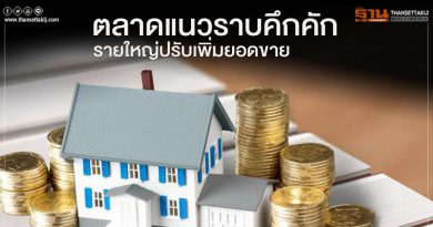 ตลาดแนวราบคึกคัก รายใหญ่ปรับเพิ่มยอดขาย
